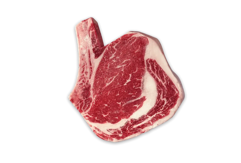 [COWBOYHC] Cowboy Importado Calidad High Choice