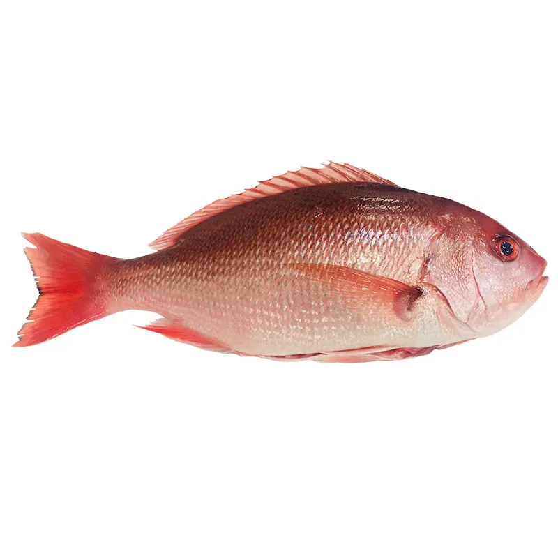 Huachinango Entero Fresco de Cultivo 800 gr - 1 Kg