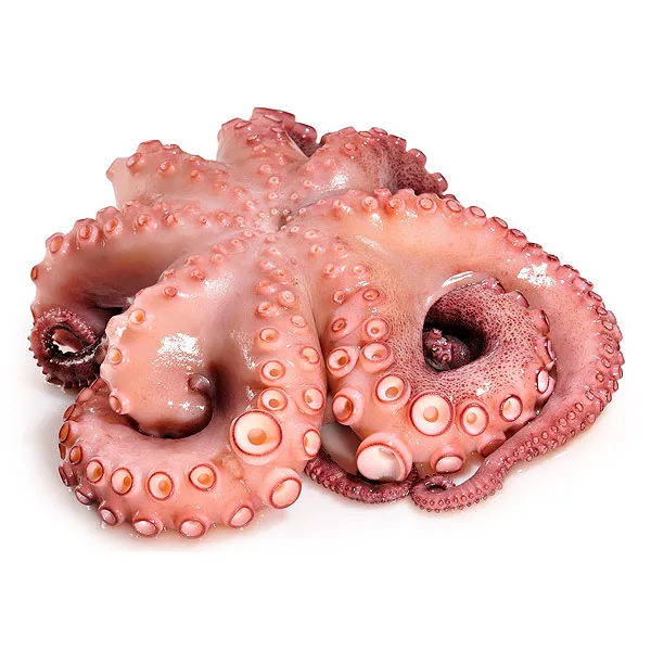 [PULPOCOCIDO] Pulpo Cocido