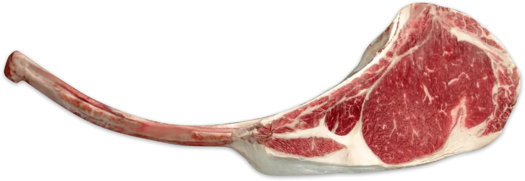 [TOMAHAWK] Tomahawk de Res