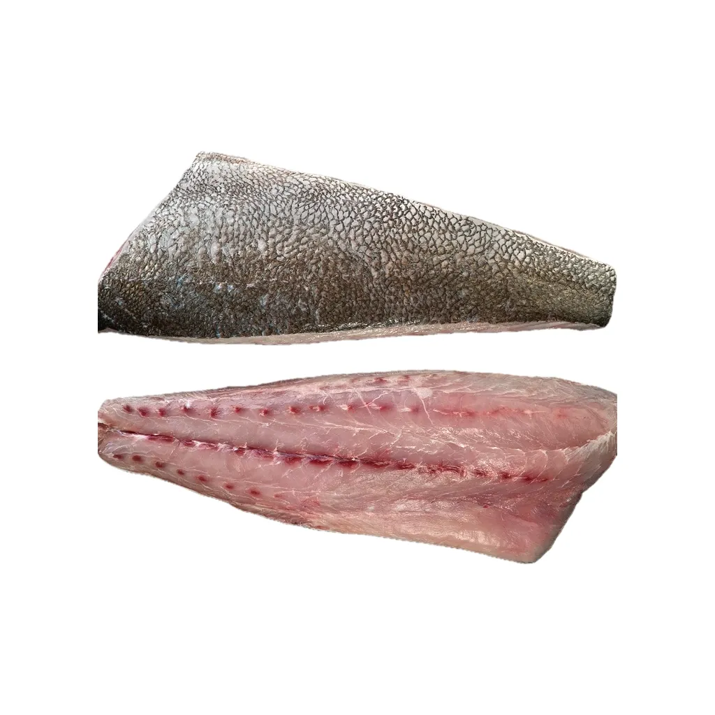 [TOTOABAFIL] Filete de Totoaba